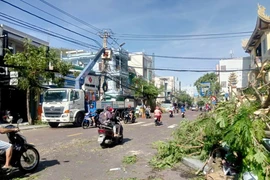 Công ty Điện lực Gia Lai nỗ lực khắc phục sự cố, khôi phục cấp điện cho người dân