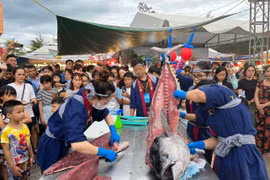 Ngày hội sẽ có các đầu bếp nổi tiếng của tỉnh trực tiếp thực hiện màn mổ cá ngừ đại dương và chế biến sashimi