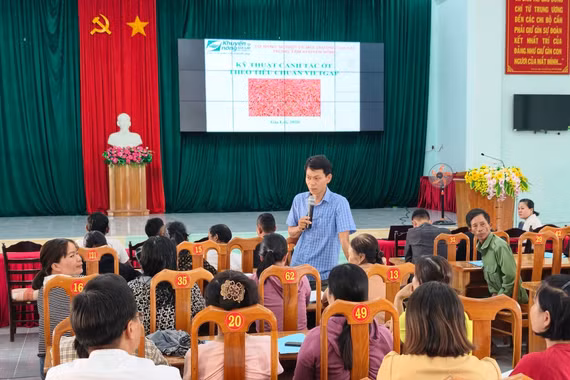 Tập huấn kỹ thuật canh tác ớt VietGAP cho nông dân.