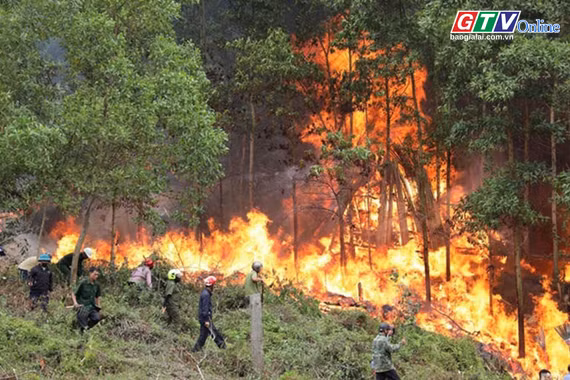 Điểm tin trưa: Thủ tướng chỉ đạo triển khai cấp bách các biện pháp phòng cháy, chữa cháy rừng