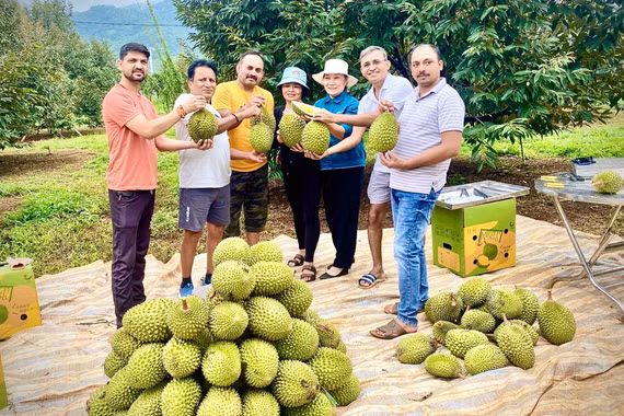 Rời bỏ vị trí giám đốc doanh nghiệp nông sản ở TP. Hồ Chí Minh, ông Nguyễn Chất Sâm trở về xã Ia Ly (tỉnh Gia Lai) xây dựng thành công trang trại sầu riêng quy mô lớn. 