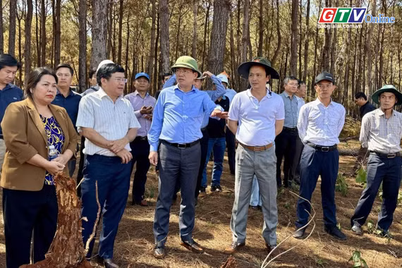 Điểm tin trưa: Chủ tịch UBND tỉnh Phạm Anh Tuấn kiểm tra loạt dự án đầu tư tại phía Tây tỉnh