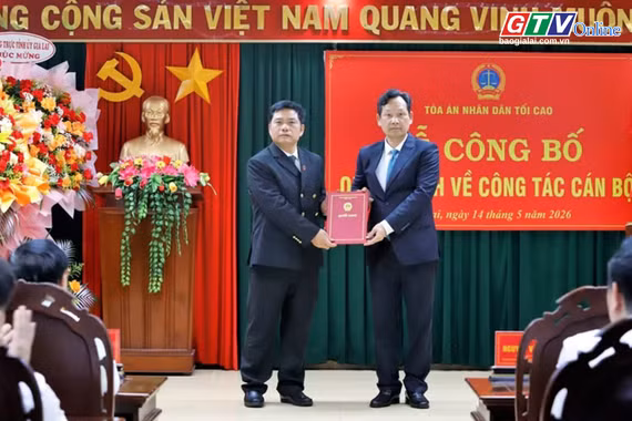 Toàn cảnh Gia Lai 24h: Ông Bùi Danh Đại được bổ nhiệm làm Chánh án TAND tỉnh Gia Lai 