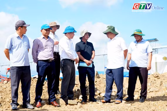 Điểm tin trưa: Đôn đốc khởi công đồng loạt các dự án chăn nuôi heo trong tháng 6