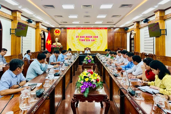 Chuẩn bị tốt các nội dung phục vụ Đoàn Thanh tra của EC