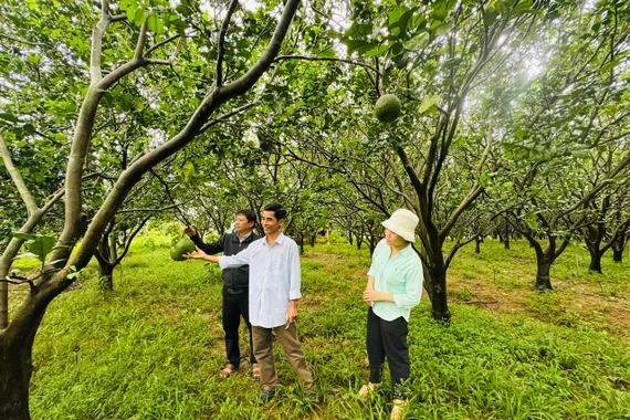 Xã Tây Sơn hỗ trợ người dân thoát nghèo, vươn lên làm giàu