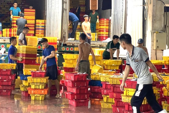 Chuyển đổi nghề, tạo sinh kế bền vững cho ngư dân