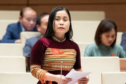 ĐB Rơ Châm H’Phik cho rằng cần rà soát, đảm bảo tránh việc chồng chéo, trùng lắp giữa các chương trình MTQG.