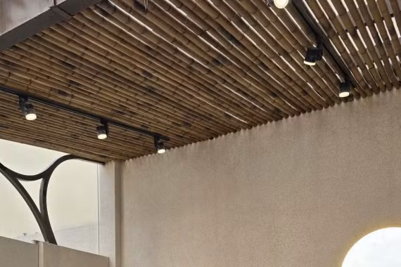 Nhà phố dành tới 20m2 làm sân vườn và kết quả xứng đáng