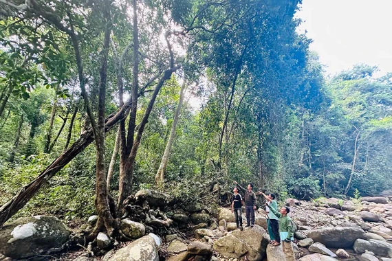 Lợi ích kép từ giao khoán rừng cho cộng đồng bảo vệ