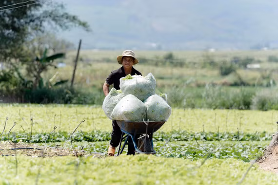 “Đòn bẩy” giúp nông dân sản xuất hiệu quả
