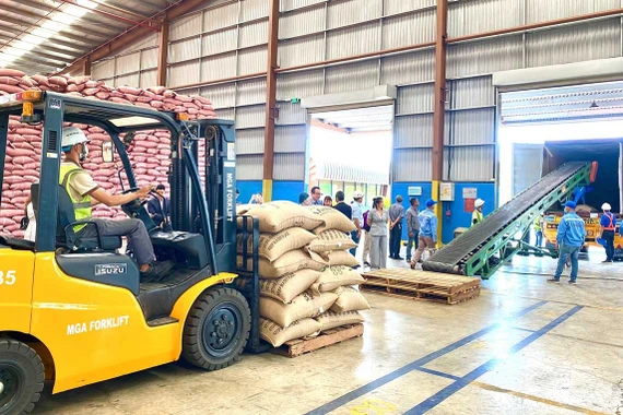 Bảo hộ thương hiệu ở thị trường quốc tế: Doanh nghiệp không thể chậm chân