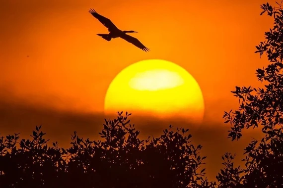 Cảnh báo bão mặt trời liên tục tấn công: Hôm nay 22.1, Việt Nam có bị ảnh hưởng?