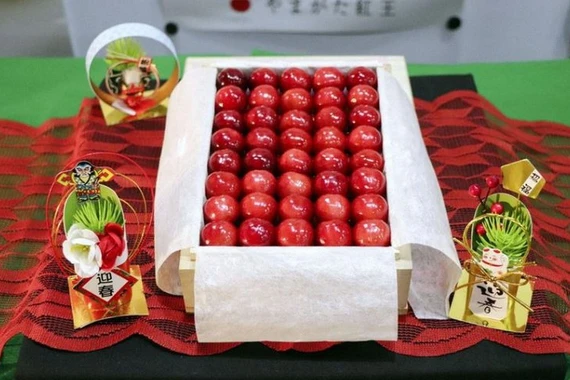 Cherry cao cấp Nhật Bản gây sốt với mức giá kỷ lục 1,8 triệu yen/hộp