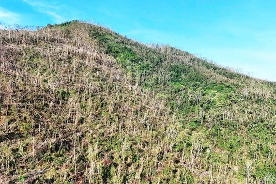 Rừng kẹt… thủ tục, dân thiệt hại nặng