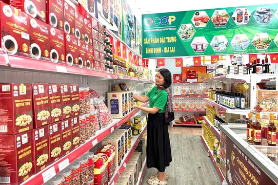 Bắt nhịp Năm Du lịch Quốc gia 2026 tại Gia Lai