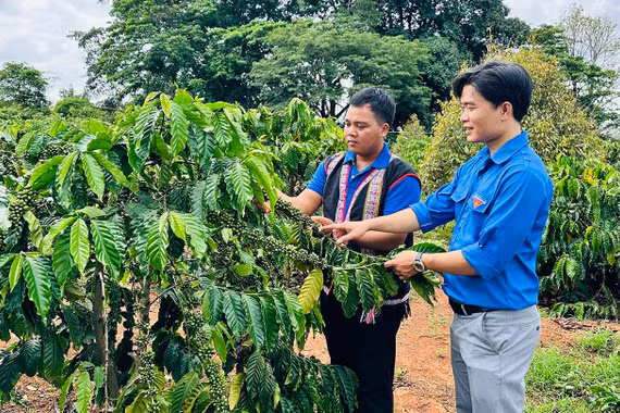 Tiếp sức thanh niên dân tộc thiểu số lập nghiệp