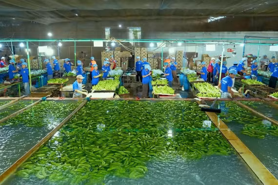 Gia Lai mở rộng đầu tư sang các tỉnh Ðông Bắc Campuchia