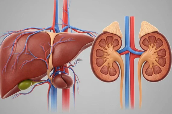 Bảo vệ gan, thận dịp tết: Bác sĩ chỉ cách ăn uống để không "quá tải"