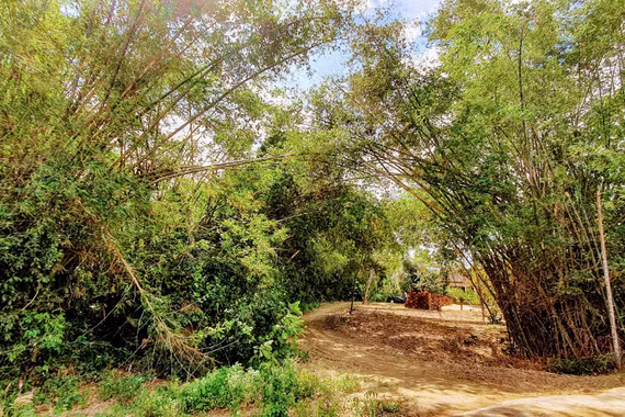 Trên từng giọt rượu quê nhà