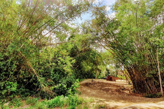 Trên từng giọt rượu quê nhà