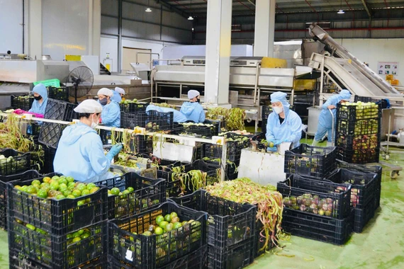 Phát triển khu công nghiệp xanh, hướng tới mô hình sinh thái