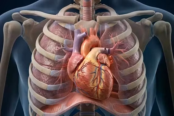4 xét nghiệm phát hiện sớm bệnh tim hiệu quả trước khi có triệu chứng
