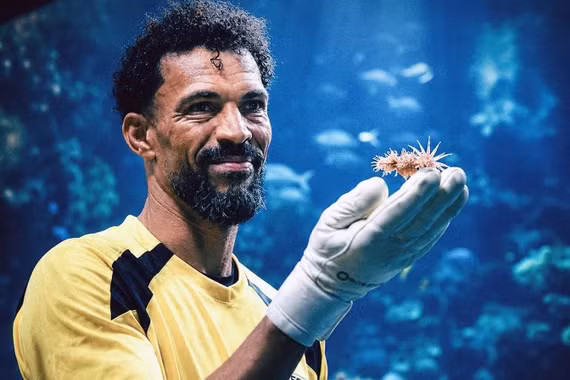 Vozinha – Người hùng World Cup 2026 được đặt tên cho loài sinh vật mới