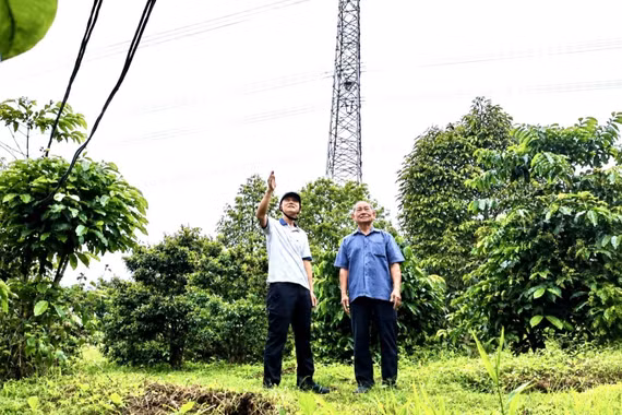 Đường dây 220 KV Pleiku 2 - Krông Buk mạch 2: Tăng tốc giải phóng mặt bằng