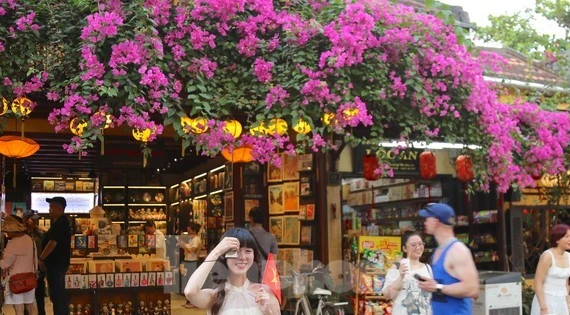 Bạn trẻ mê mẩn check in với loài hoa 'đặc sản' phố cổ Hội An