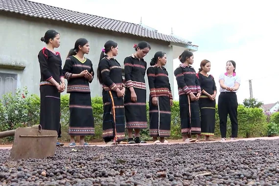 Phụ nữ dân tộc thiểu số phát triển các tổ liên kết sản xuất