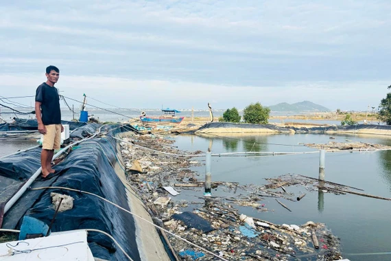 Hỗ trợ nông dân vay vốn khôi phục sản xuất sau bão lũ