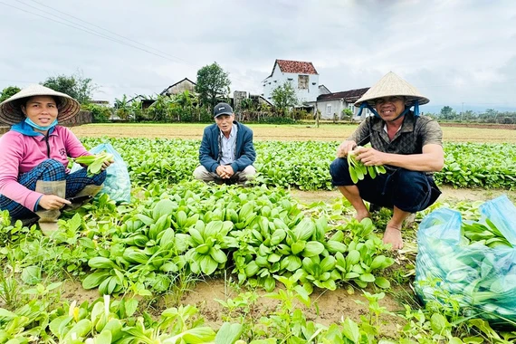 Xã Tây Sơn đẩy mạnh giảm nghèo thông tin, nâng cao dân trí