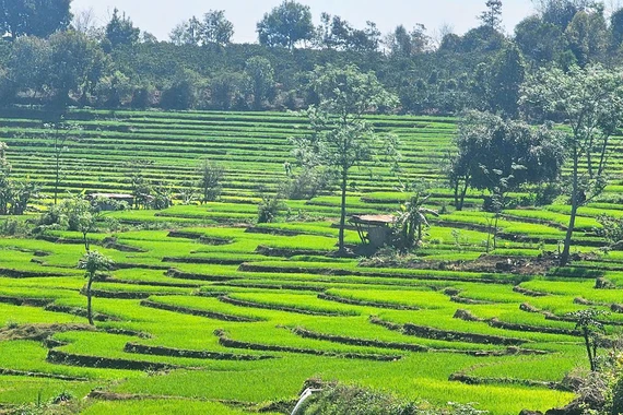 Độc đáo ruộng bậc thang ở xã Dun