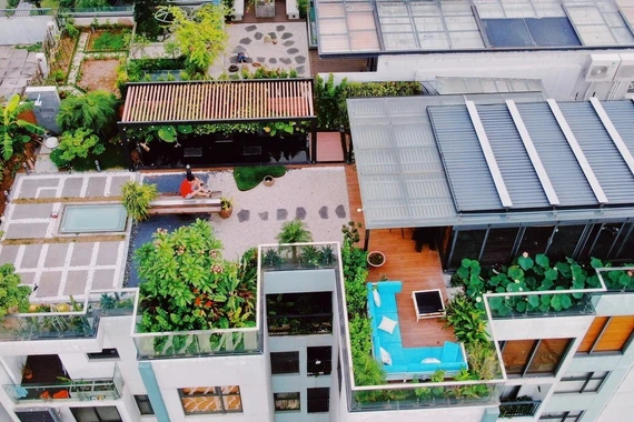 Chi tiền tỉ để trồng rau, nuôi cá trên sân thượng ở tầng 30