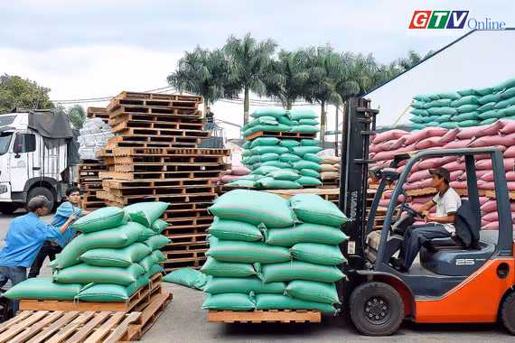 Điểm tin trưa: Gia Lai có 2 doanh nghiệp trong top xuất khẩu cà phê hàng đầu