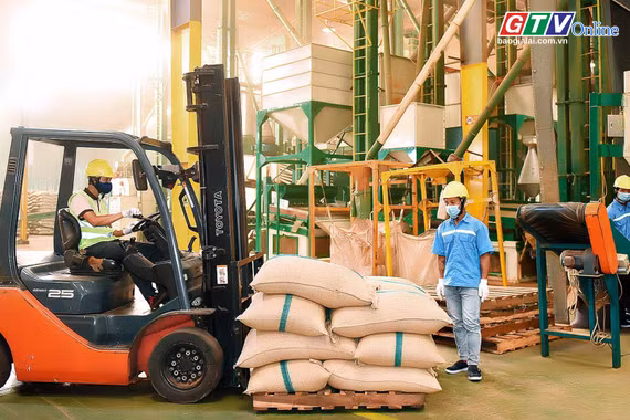 Toàn cảnh Gia Lai 24h: 6 doanh nghiệp Gia Lai được chọn tham gia Chương trình 1.000 doanh nghiệp tiên phong