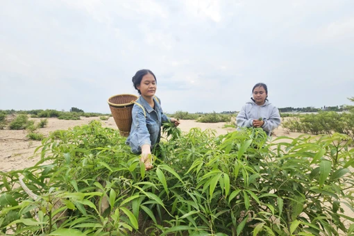 Ẩm thực mùa khô của người Jrai