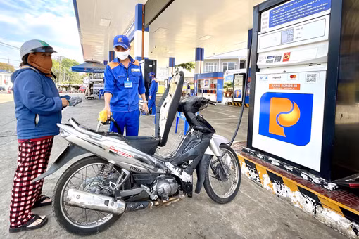 Đảm bảo điều kiện đưa nhiên liệu sinh học ra thị trường