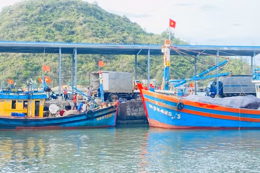 Khắc phục triệt để tồn tại, hạn chế trong chống khai thác IUU