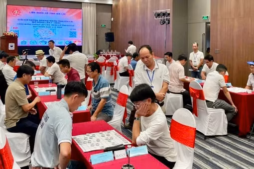 Hợp lực phát triển phong trào cờ ở Gia Lai.