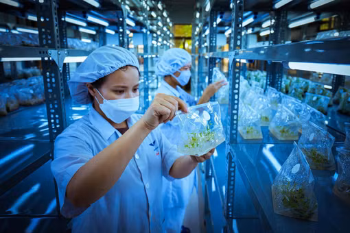 Đẩy mạnh phát triển công nghệ sinh học - Kỳ 1: Chủ trương mở đường cho động lực tăng trưởng mới 