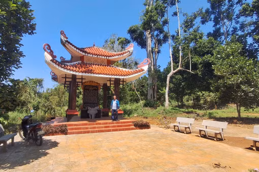 Cánh đồng neo dấu nhà Tây Sơn