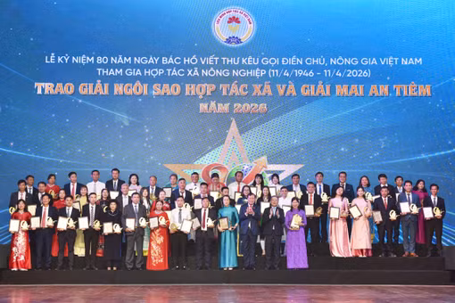 Giải thưởng Mai An Tiêm và bước chuyển của nông sản Gia Lai