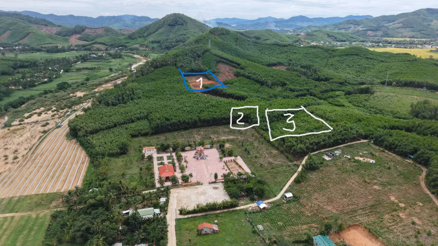 dung-flycam-khao-sat-doi-xuan-son-ho-tro-tim-kiem-mo-tap-the-liet-si.jpg