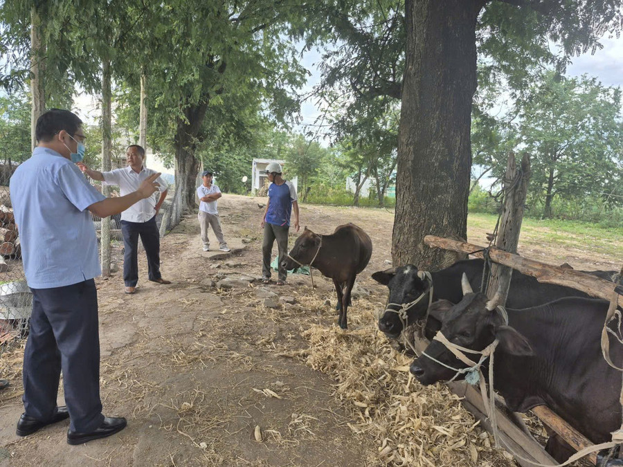 lanh-dao-chi-cuc-chan-nuoi-va-thu-y-tinh-kiem-tra-truc-tiep-phat-trien-chan-nuoi-va-phong-chong-dich-benh-tren-dan-gia-suc.jpg