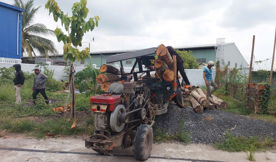 Phương tiện vận chuyển lâm sản trái pháp luật bị lực lượng Kiểm lâm Gia Lai tạm giữ. Ảnh: N.D phuong-tien-van-chuyen-lam-san-trai-phap-luat-bi-luc-luong-kiem-lam-gia-lai-phat-hien-tam-giu.jpg