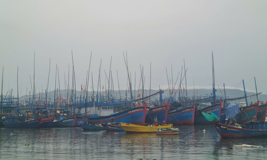 Trưa ngày 27-9, đã có nhiều tàu thuyền vào neo đậu ở Cảng cá Tam Quan để tránh bão số 10. Ảnh: H.P z7055244488062-176fd1c573eb9803e17df2c5f0497722.jpg