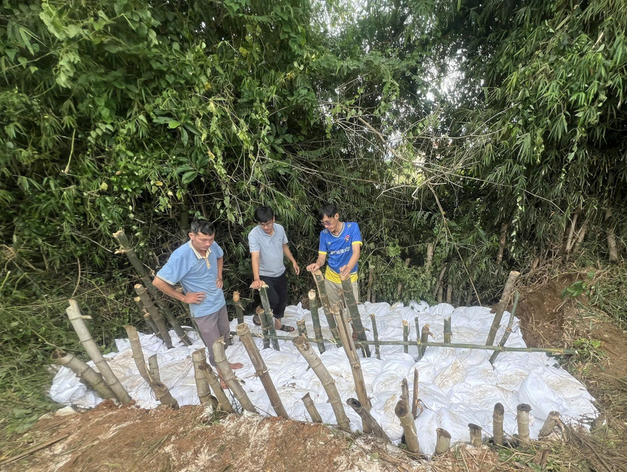 Đoạn đê xung yếu của sông Gò Chàm đã được gia cố. Ảnh: ĐVCC doan-de-song-go-cham-bi-sat-lo-da-duoc-gia-co.jpg