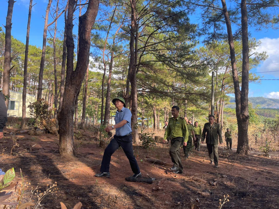 ong-nguyen-van-hoan-pho-giam-doc-so-nong-nghiep-va-moi-truong-kiem-tra-tai-tram-bao-ve-rung-de-bo-tuk.jpg